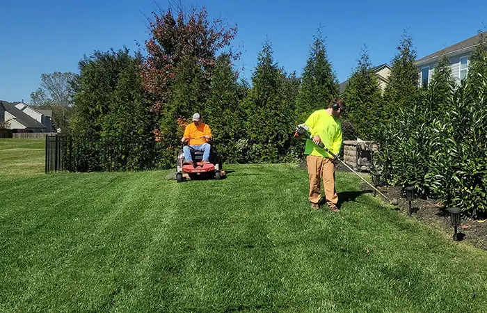 property maintenance and services property maintenance and services